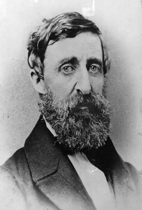 Black and white Photo of Author Henry David Thoreau (1817 - 1862)