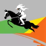 Concerning a Steeplechase Rider - Short Story