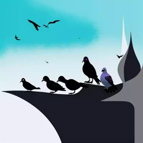 The Ambassador's Pigeons - Short Story